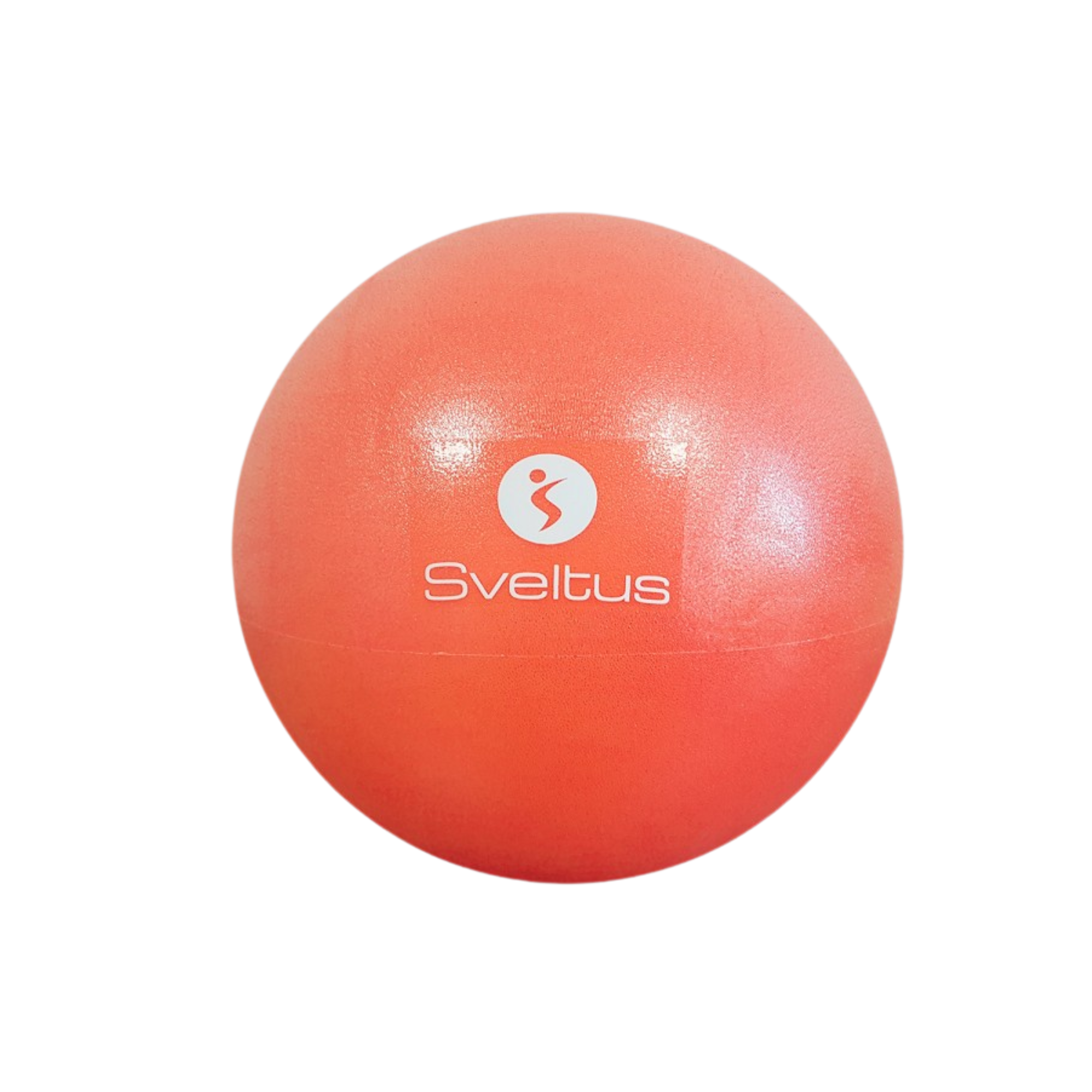 Ballon pédagogique - Plusieurs coloris - Ø 22/24 cm - Sveltus