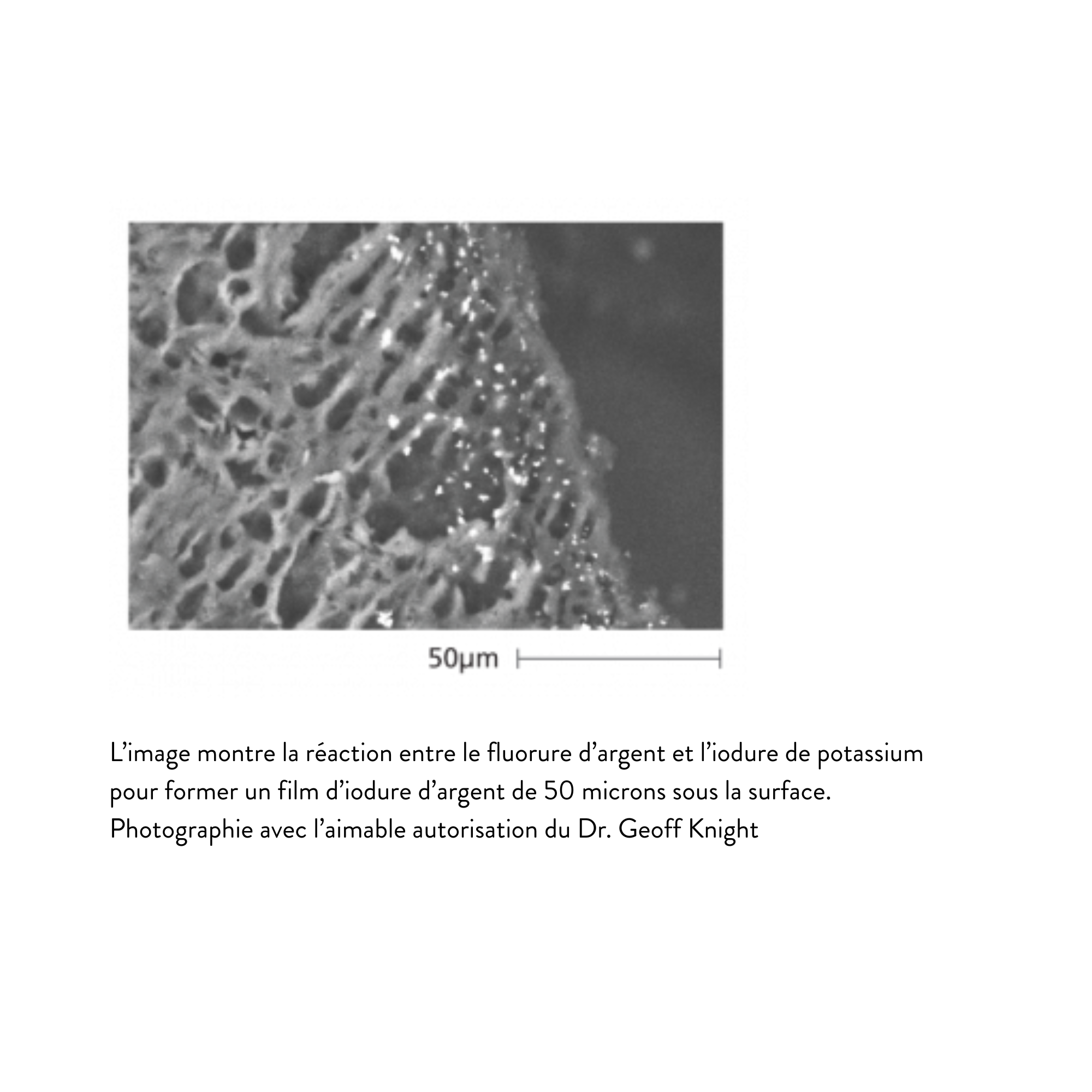 Désensibilisant dentaire Riva Star Aqua - flacons/kit capsules - SDI