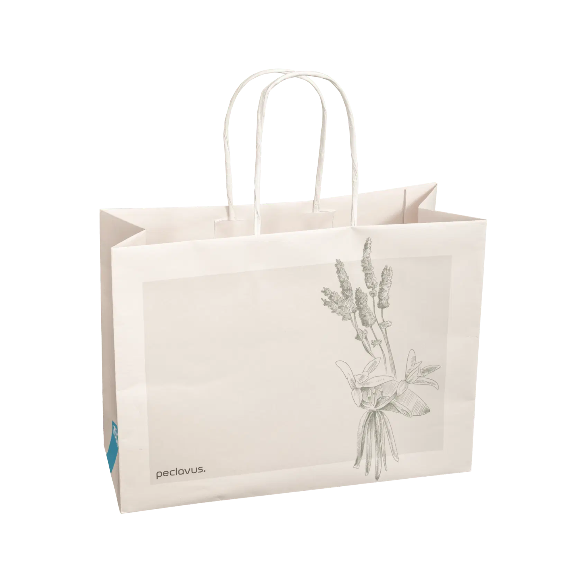 Sac cadeau en papier Kraft Peclavus - Lot de 10 - Ruck