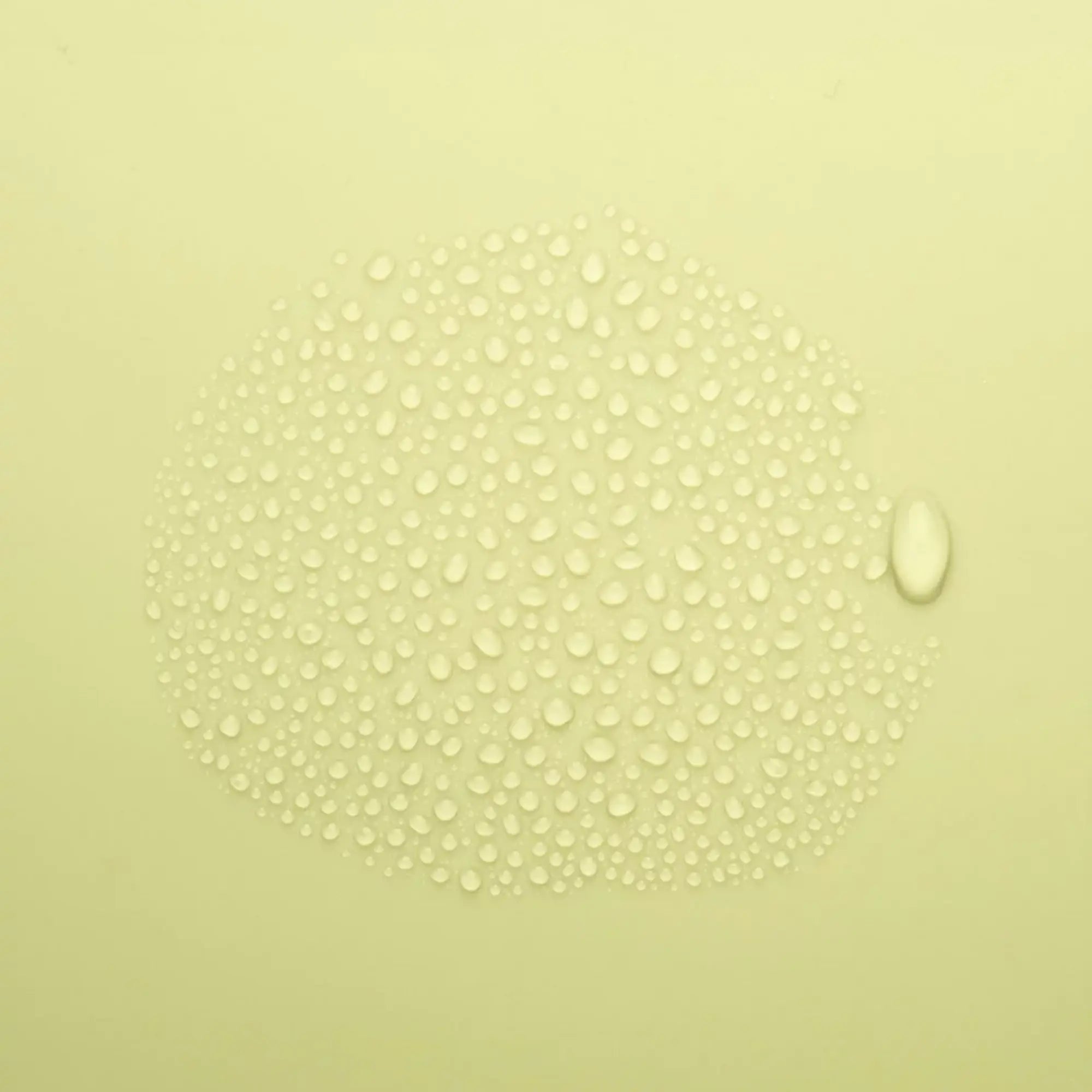 Spray Nettoyant - 50 ml - Dax & Terra Dax & Terra 