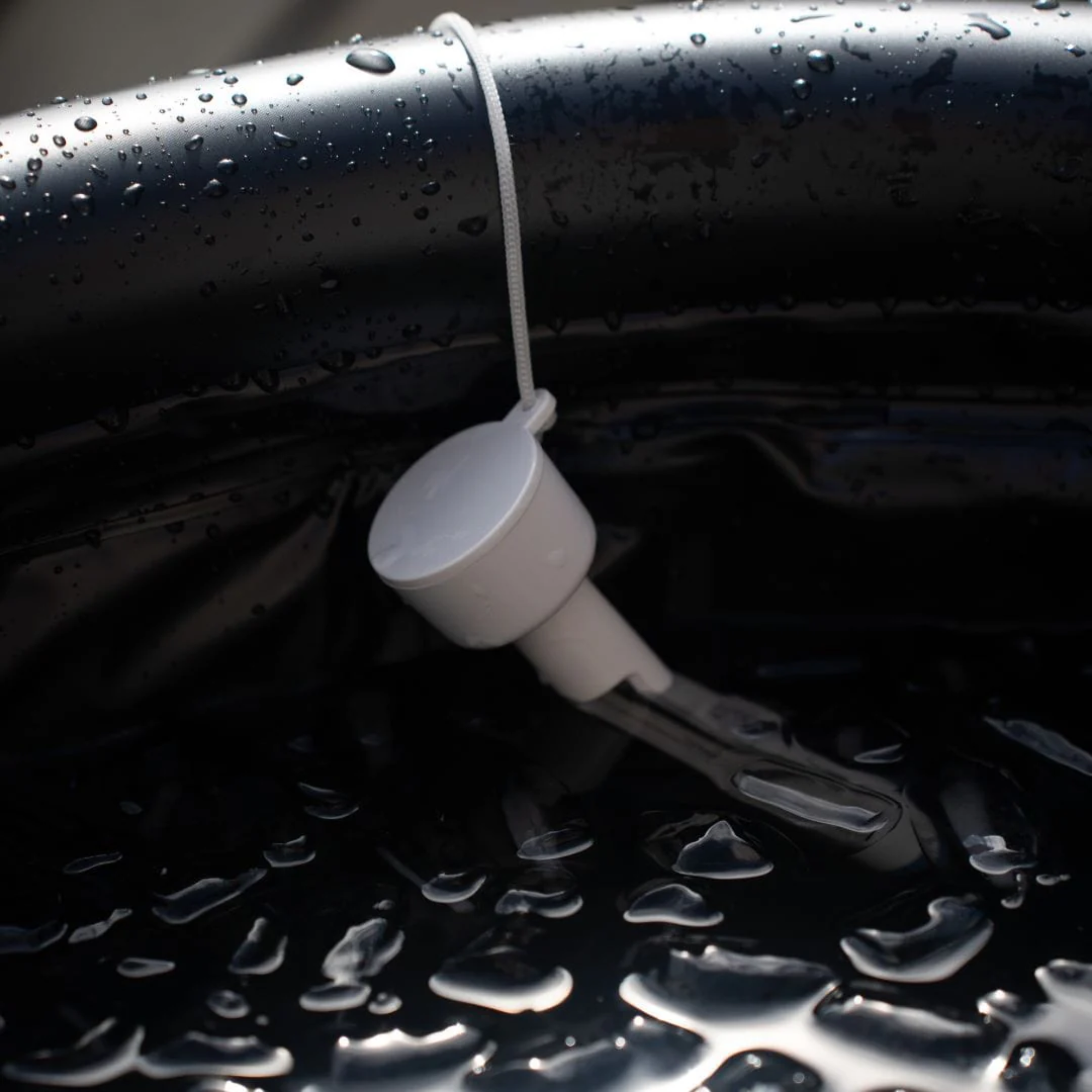 Thermomètre pour Ice Bath - Jolt