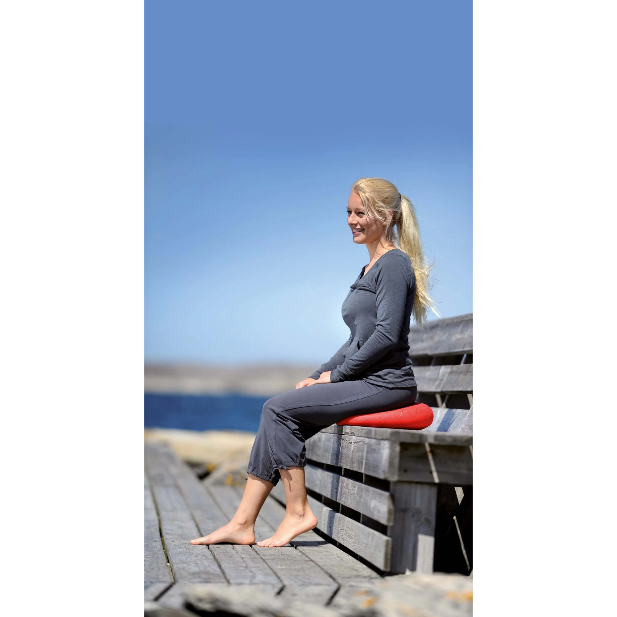 Sitfit Plus Cushion + Pump (3 colors) - SISSEL